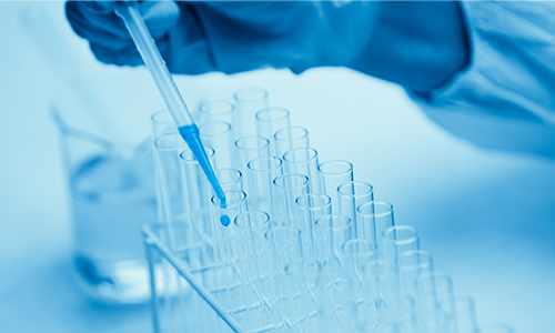 Multi-PCR 검사